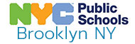 logo brooklyn new york public schools substance abuse nyc