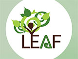 logo leaf otsego county ny alcoholism addictions foundation