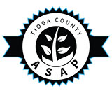 logo tioga county new york substance abuse prevention coalition