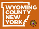 logo wyoming county new york alcoholism and substance abuse resources